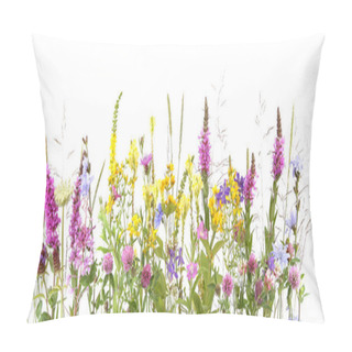 Personality  Flowering Wild Grass And Herbs Isolated On White Background. Border Of Meadow Flowers Wildflowers And Plants Pillow Covers