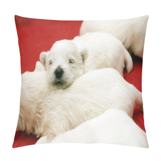Personality  Little Sleeping Puppies Pillow Covers
