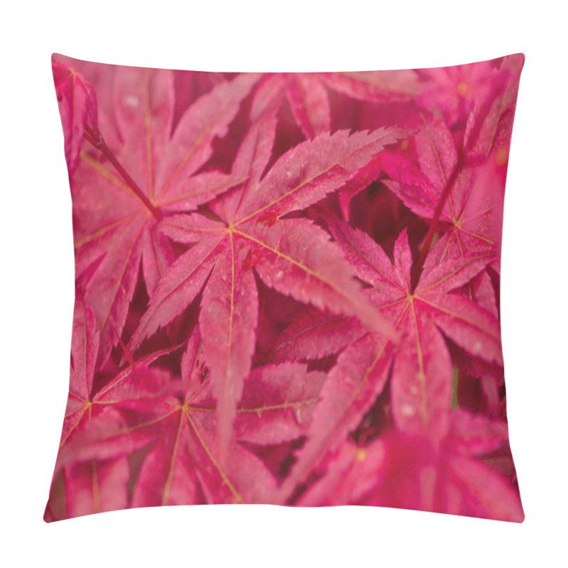 Personality  bright and colorful red leaves of exotic plant pillow covers