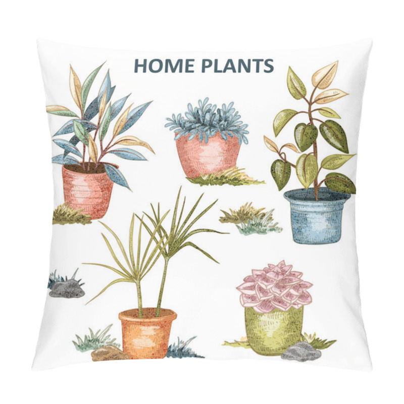 Personality  Home plant illustration 02 pillow covers