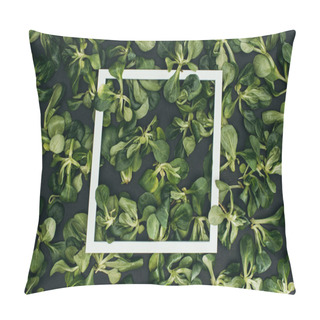 Personality  Top View Of White Square Frame And Beautiful Fresh Green Leaves  Pillow Covers