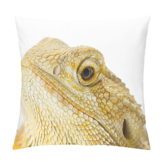 Personality  Head Shot Of A Lizard Pillow Covers