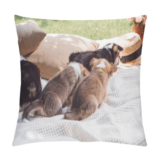 Personality  Welsh Corgi Puppies On White Blanket Near Pillows In Green Garden Pillow Covers
