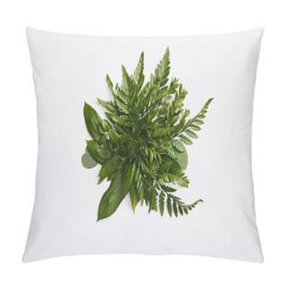 Personality  Composition Of Fresh Green Fern Leaves Isolated On Grey Background Pillow Covers