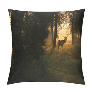 Personality  Beautiful Deer In The Forest With Amazing Lights At Morning In October Pillow Covers