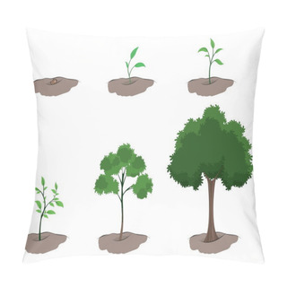 Personality  Stage Of Growth Of The Tree Pillow Covers