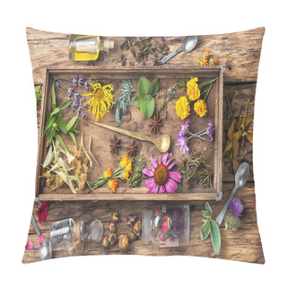 Personality  Motley Healthy Herbs Pillow Covers