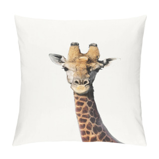 Personality  Giraffe Looking At Camera  Pillow Covers