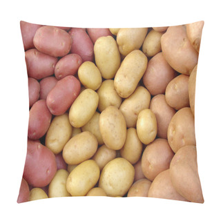 Personality  Harvested Potato Tubers Pillow Covers