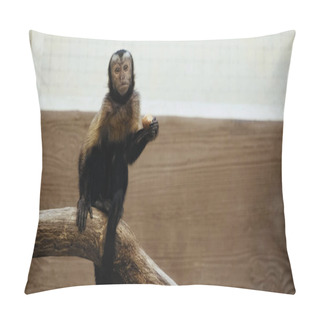 Personality  Wild Furry Monkey Sitting On Wooden Branch With Organic Potato Pillow Covers