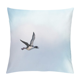 Personality  A Great Northern Diver Or Common Loon Seabird, Gavia Immer, In Strong, Overhead Flight. Pillow Covers