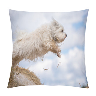 Personality  A Dog Wants To Fly Pillow Covers