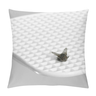Personality  Fly Flap Detail Pillow Covers
