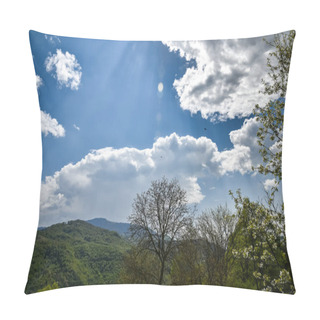 Personality  Green Forest In The Mountains Of The Ukrainian Carpathians Pillow Covers