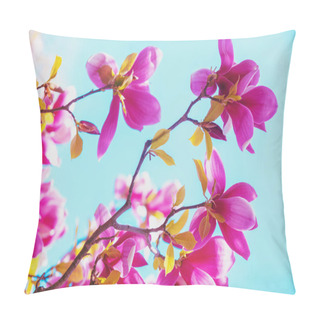 Personality  Blossoming Magnolia Flowers. Spring Background Pillow Covers