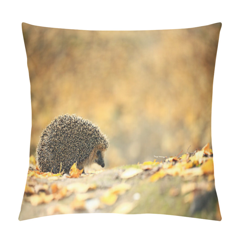 Personality  Hedgehog in the autumn forest pillow covers