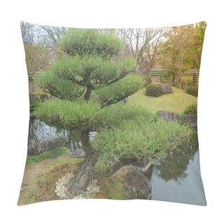 Personality  Beautiful Bonsai Trees In A Japanese Style Garden. Kyoto Japan Pillow Covers
