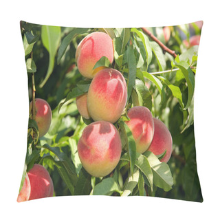Personality  Peaches Pillow Covers