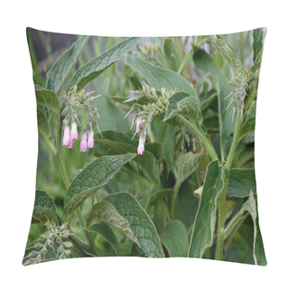 Personality  Comfrey Herb Pillow Covers