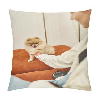 Personality  Blurred Woman Holding Paw And Playing With Cute Pomeranian Spitz In Lounge Of Modern Pet Hotel Pillow Covers