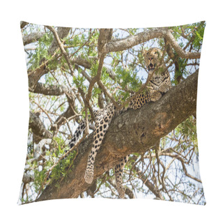 Personality  Leopard In The African Savannah Pillow Covers