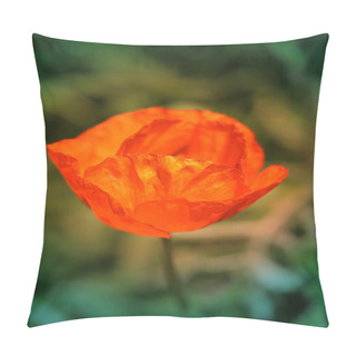 Personality  Beautiful Large Red Poppy   Pillow Covers