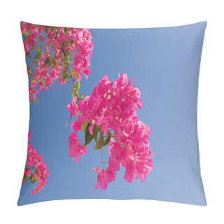 Personality  Beautiful Pink Flowers Over Blue Sky Pillow Covers