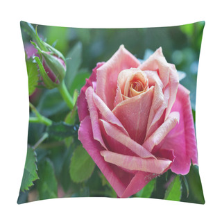 Personality  Rose In A Garden. Pillow Covers