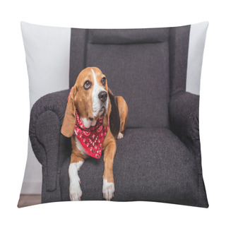 Personality  Beagle Dog In Bandana Pillow Covers