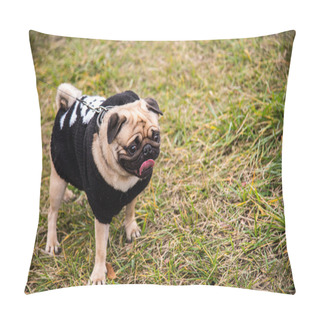 Personality  Dog Mops. Dog Walking In The Park Pillow Covers