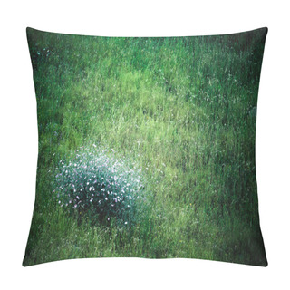 Personality  Bush Violet Flowers On A Green Meadow. Tinted Pillow Covers