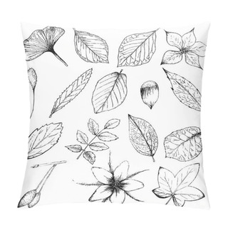 Personality  Collection Of Hand Drawn Plants, Leaves And Flowers Pillow Covers