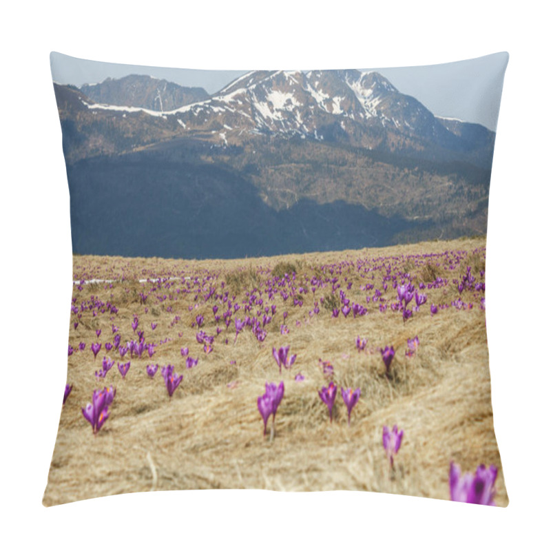 Personality  nature pillow covers