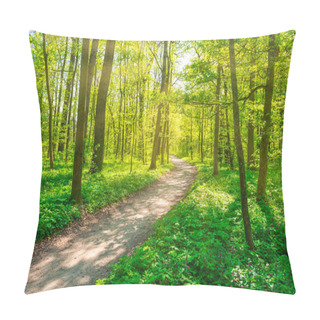 Personality  Green Forest With Green Spring Trees And Park Path Pillow Covers