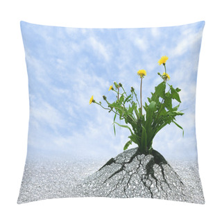 Personality  Power Of Life Pillow Covers