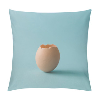 Personality  Empty Chicken Eggshell Pillow Covers