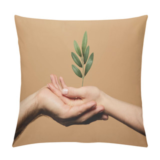 Personality  Cropped View Of Man And Woman Holding Green Plant Isolated On Beige Pillow Covers