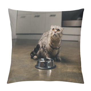 Personality  Cute Scottish Fold Cat Sitting On Floor Near Metal Bowl In Kitchen Pillow Covers
