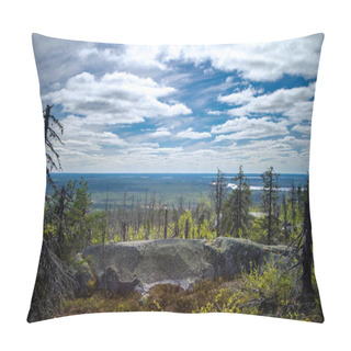 Personality  Dry Crooked Tree In The Wasteland On The Top Of The Mountain. Russia. Karelia. Vottovaara Mountain After The Wildfire. Pillow Covers