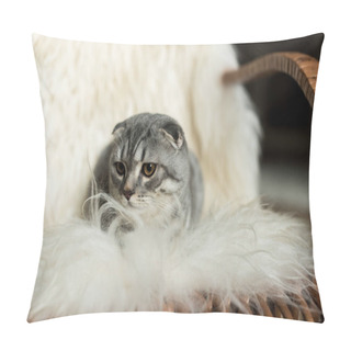 Personality  Cat Lying On Woolly Blanket Pillow Covers