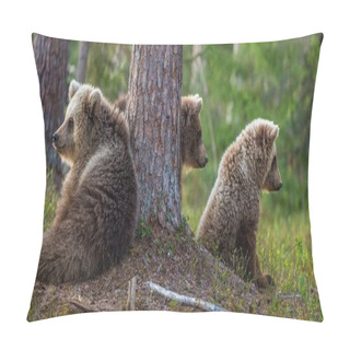 Personality  Cubs Of Brown Bear  Pillow Covers