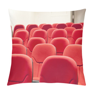 Personality  Lecture Room Chairs Pillow Covers
