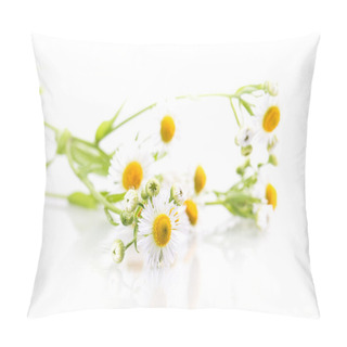 Personality  Daisy Flowers Pillow Covers