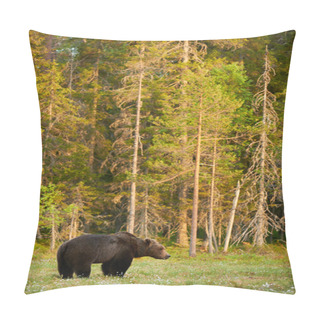 Personality  Wild Brown Bear Pillow Covers