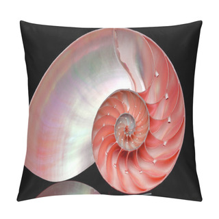 Personality  Nautilus Shell Section Isolated On Black Background Pillow Covers