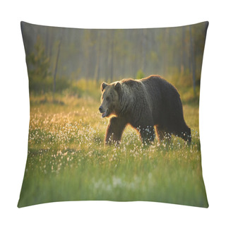 Personality  Wild Big Male Brown Bear In The Flowering Grass Pillow Covers