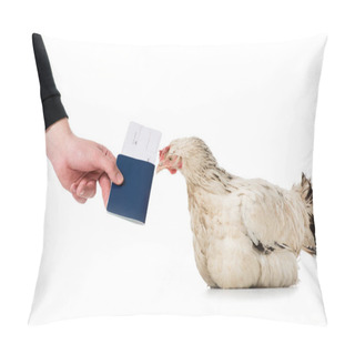 Personality  Cropped Shot Of Person Giving Passport With Ticket To Hen Isolated On White  Pillow Covers