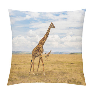 Personality  Giraffes In Savannah At Africa Pillow Covers