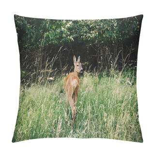 Personality  Selective Focus Of Deer Walking In Grass Near Forest Pillow Covers