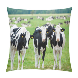 Personality  Herd Of Cows In The Pasture Pillow Covers
